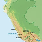 south, center, north, jungle, rainforest